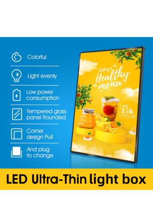 LED Light Boxes